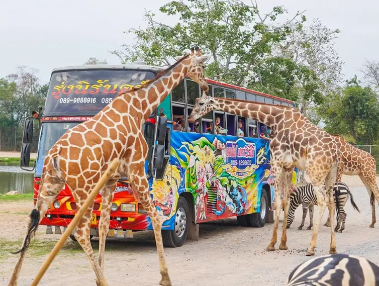 北碧府必去景點