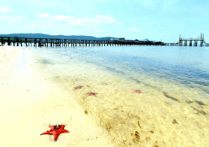 富國島海星沙灘