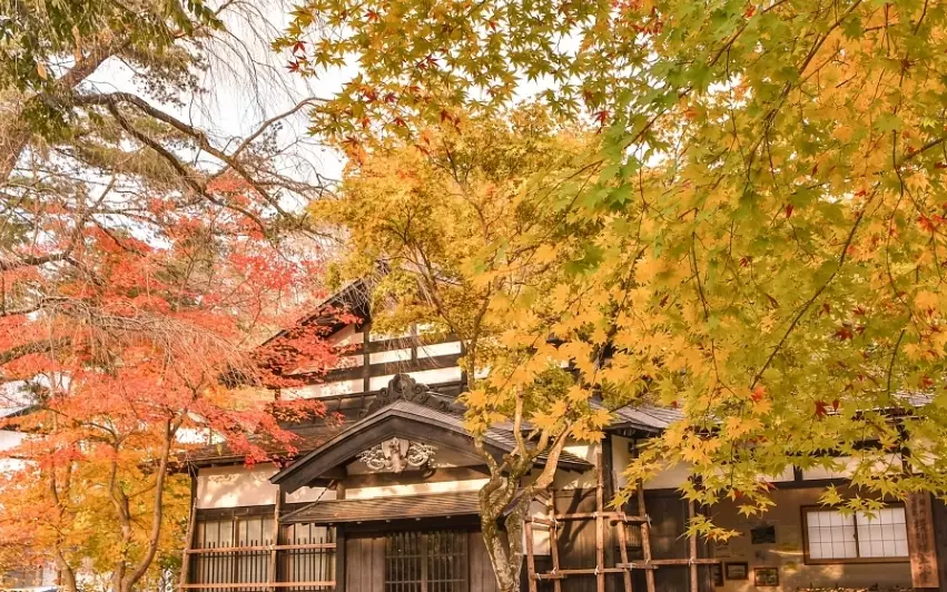 秋田 冬天 景點