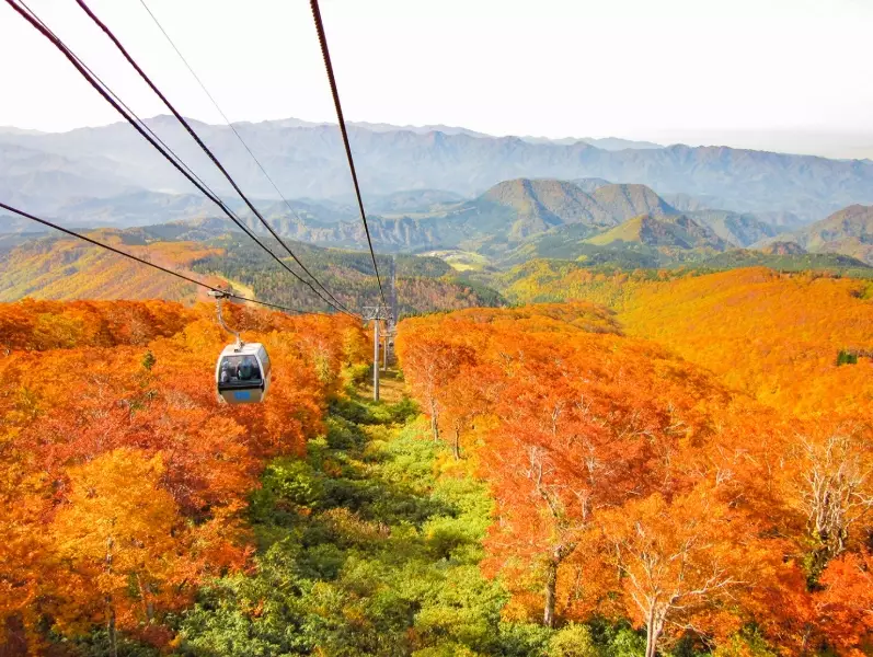 秋田夏天自由行 秋田夏天自由行