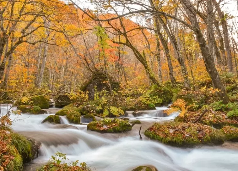 日本東北旅遊景點 日本東北旅遊景點