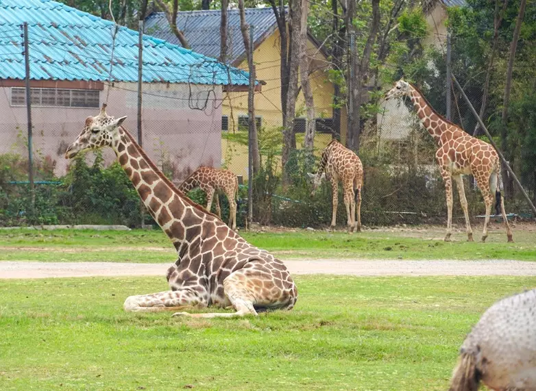 北碧府一日遊 北碧府一日遊