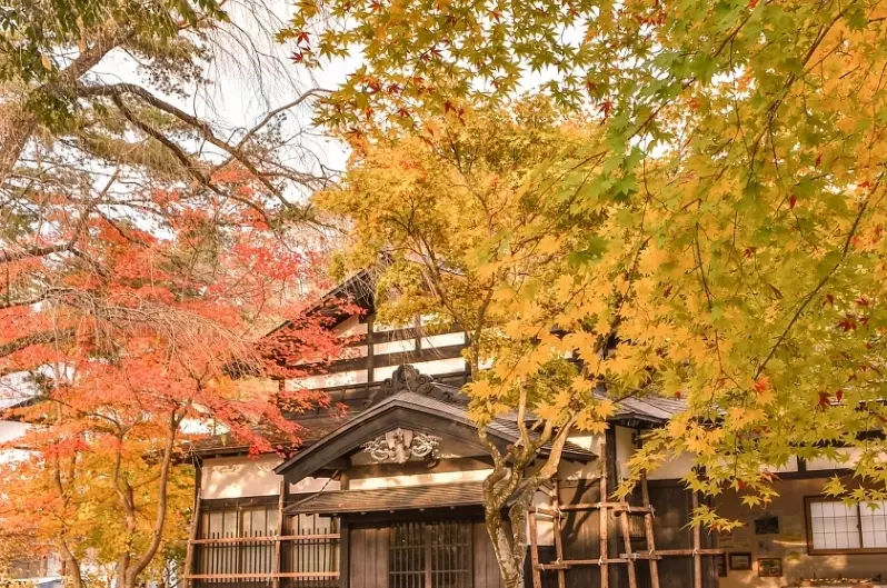 秋田冬季自由行 秋田冬季自由行