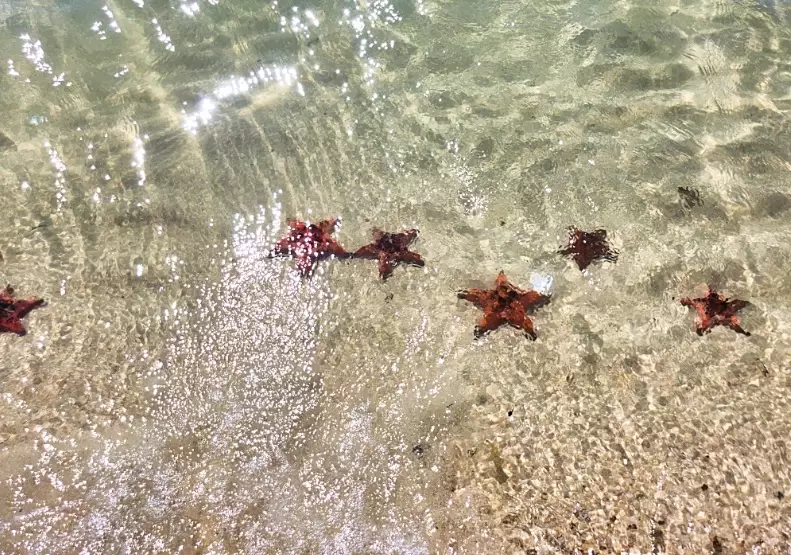 富國島自由行攻略