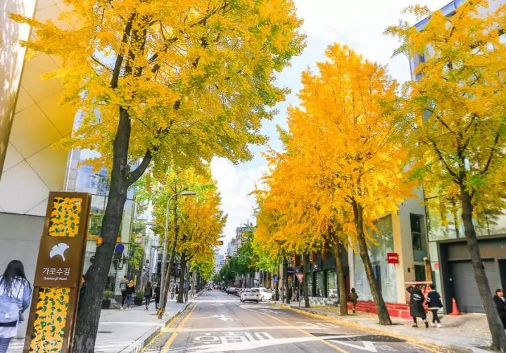 首爾自由行行程