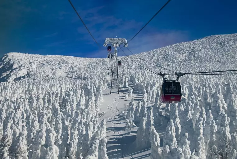 東北雪景旅遊 東北雪景旅遊