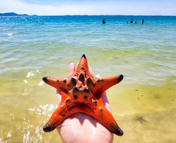 富國島海星沙灘