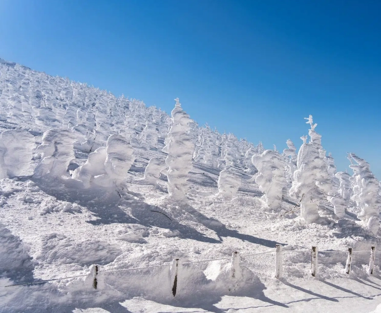 日本自由行規劃