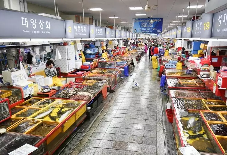 釜山塔周邊美食