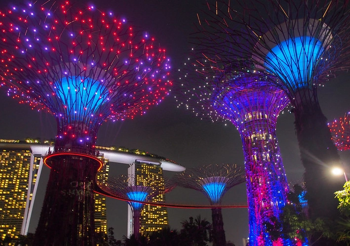 超級樹觀賞指南