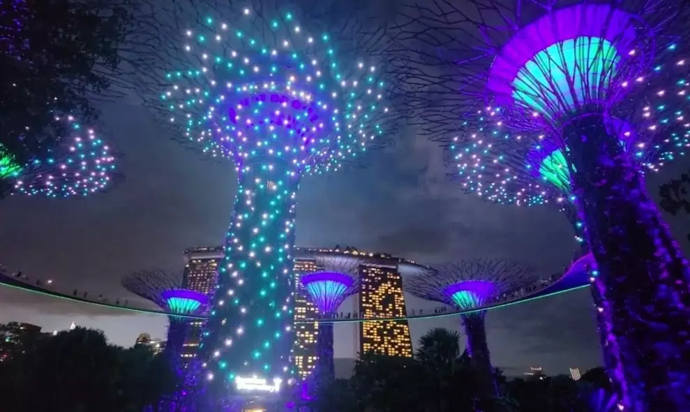 濱海灣花園燈光秀時間