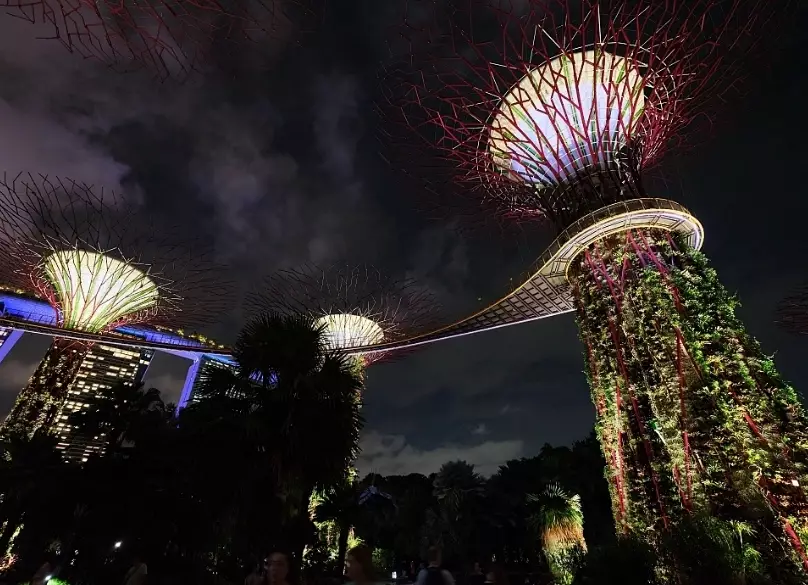 超級樹觀賞指南