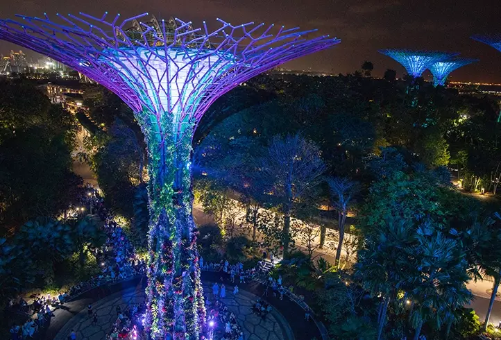 濱海灣花園燈光秀時間