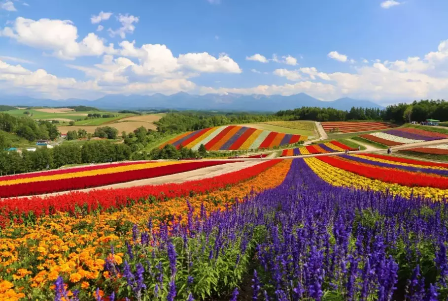 北海道旅遊預算