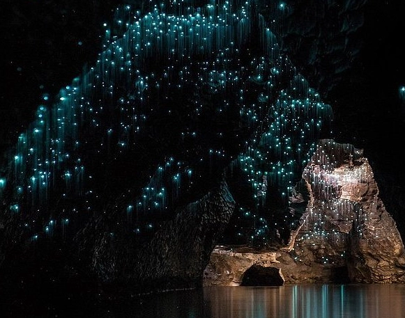 紐西蘭北島自由行