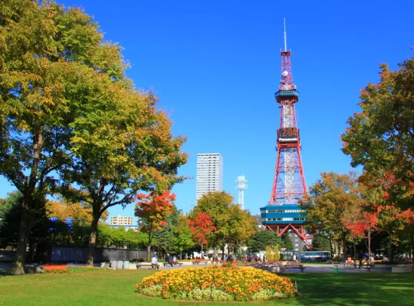 北海道秋天自由行