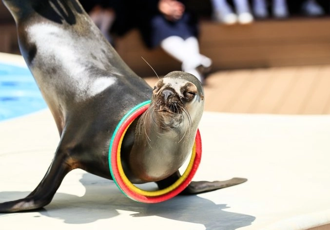 陽光水族館門票