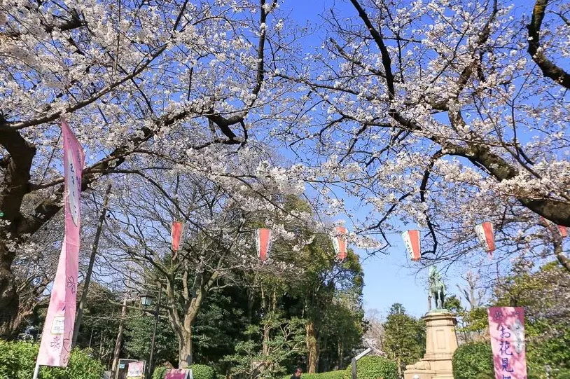東京住宿區域推薦
