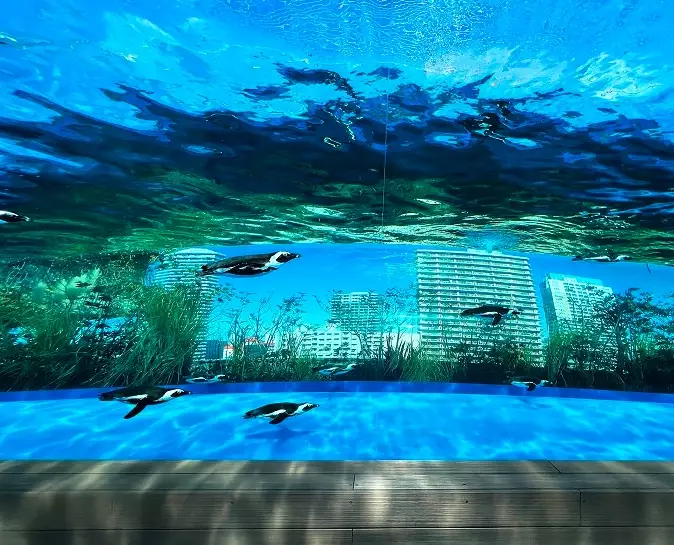 台北水族館優惠