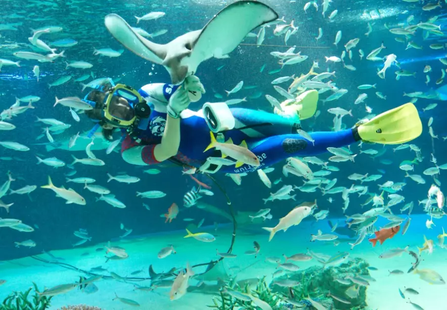 陽光水族館套票
