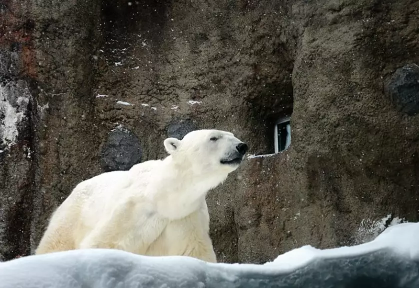 不開車北海道行程