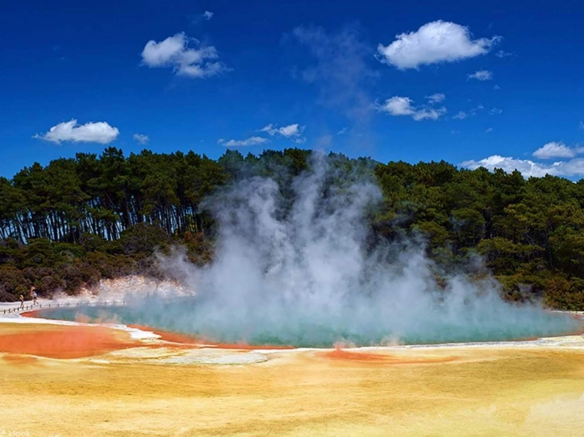 紐西蘭北島自由行