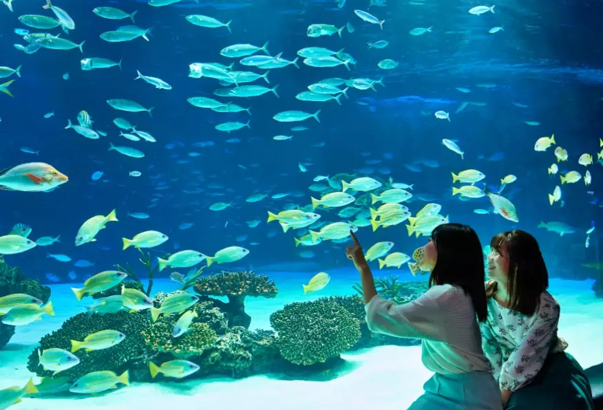 台北水族館優惠