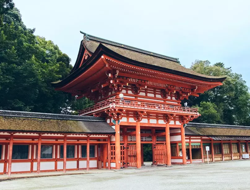 京都白川通散步