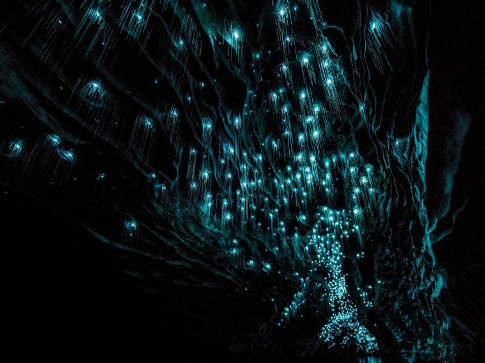 紐西蘭北島景點