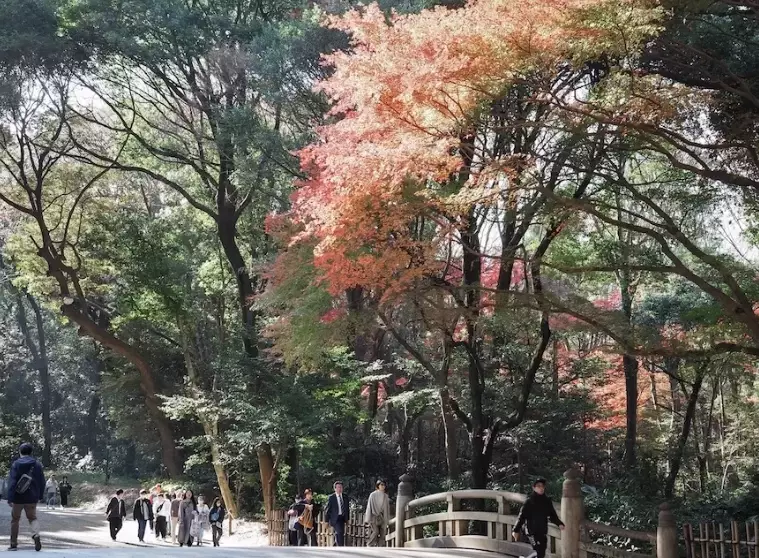 明治神宮參拜順序