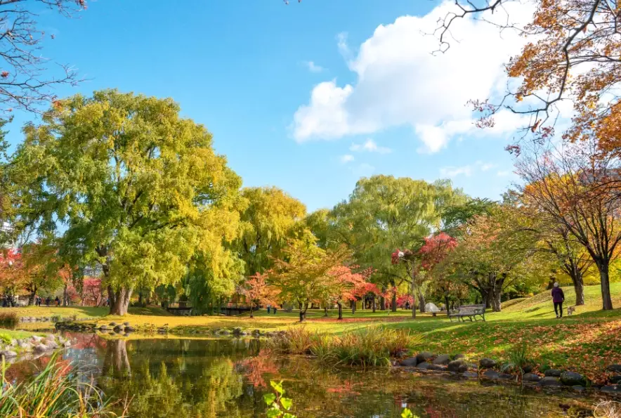 北海道秋天自由行