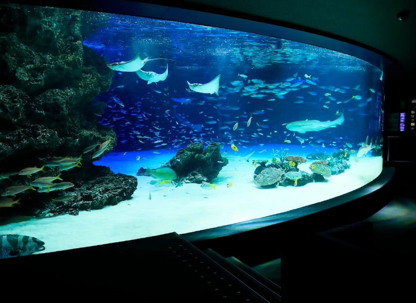 陽光水族館門票