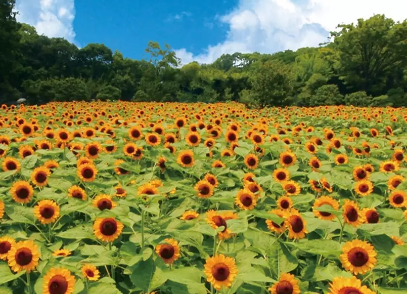 大阪地鐵 長居站