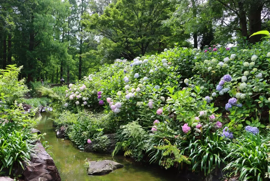 長居植物園優惠票