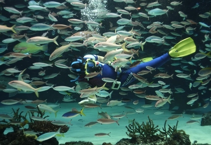 太陽城水族館 門票