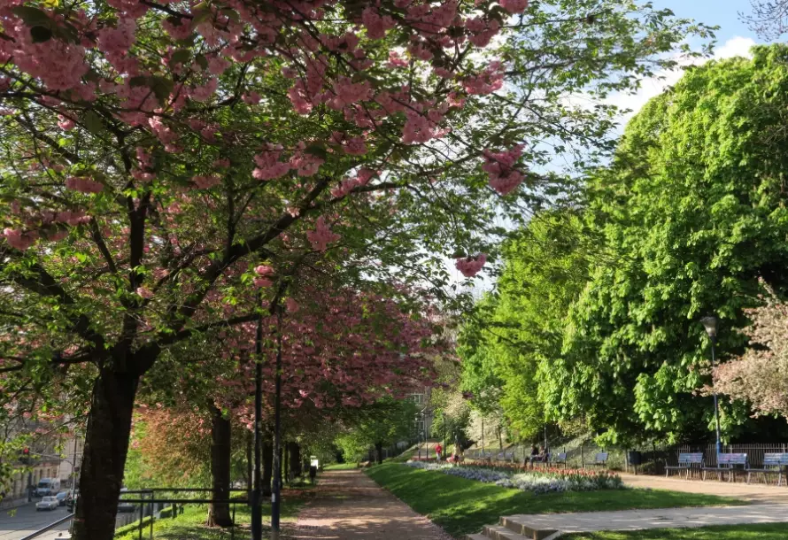 布拉格深度旅遊