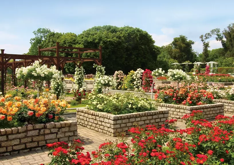 長居植物園 門票