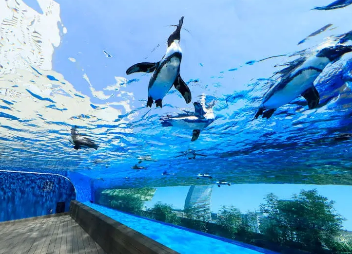 太陽城水族館 交通方式