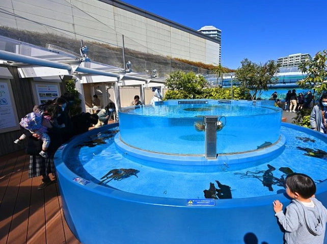 陽光水族館交通