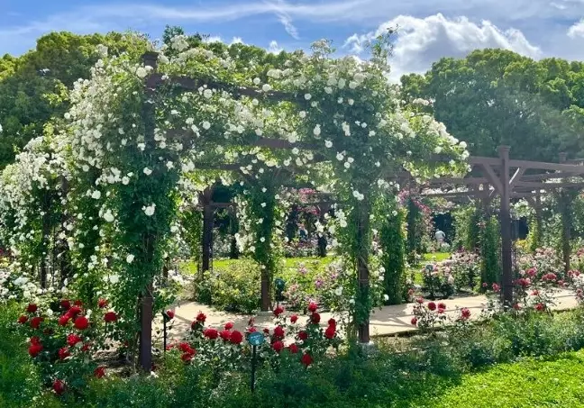 長居植物園 評論