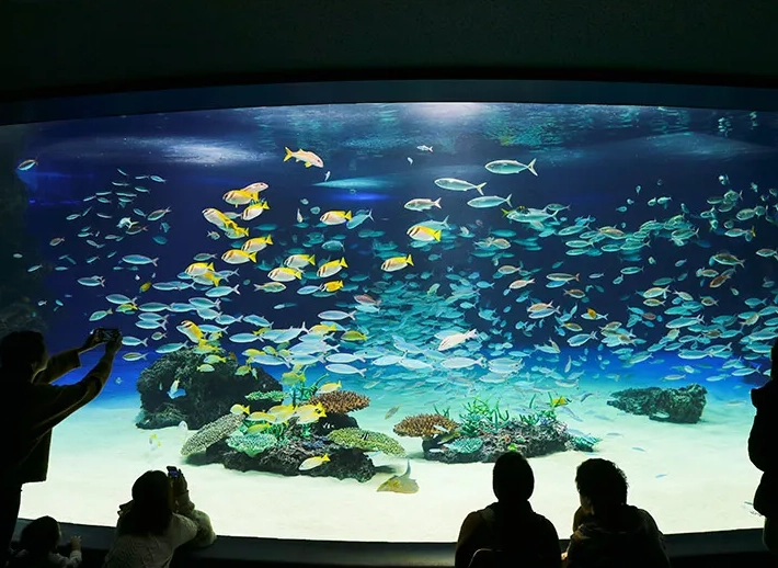 太陽城水族館 優惠票