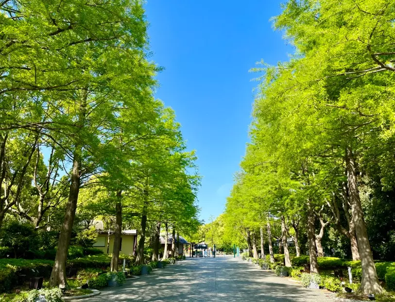 長居植物園優惠票