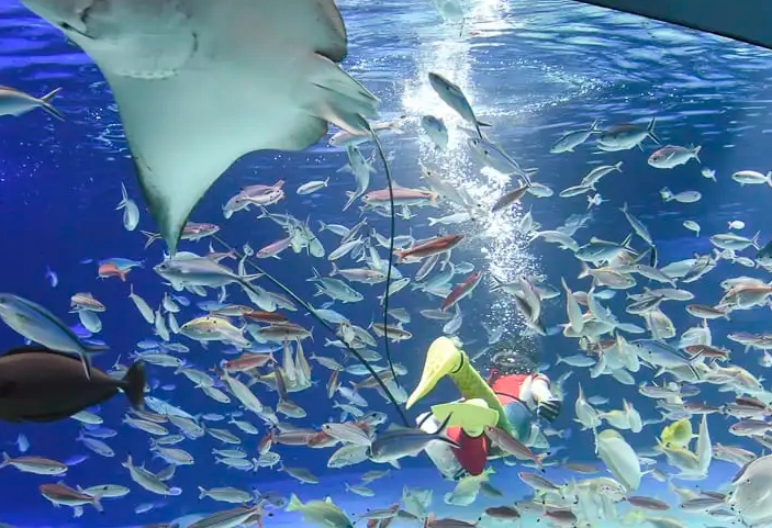 太陽城水族館 交通方式