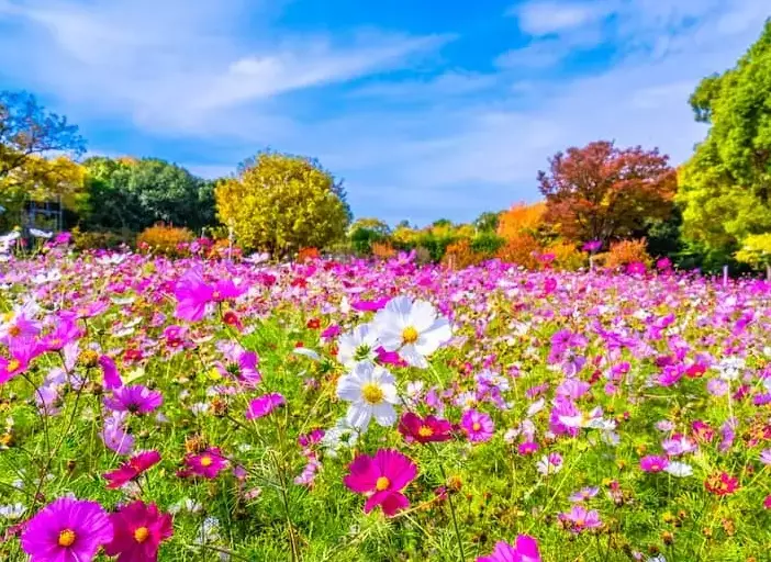 大阪地鐵 長居站