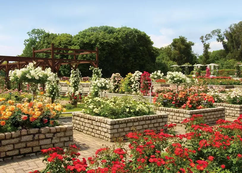 長居植物園門票