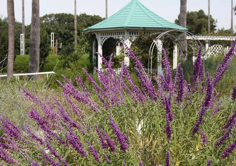 長居植物園門票