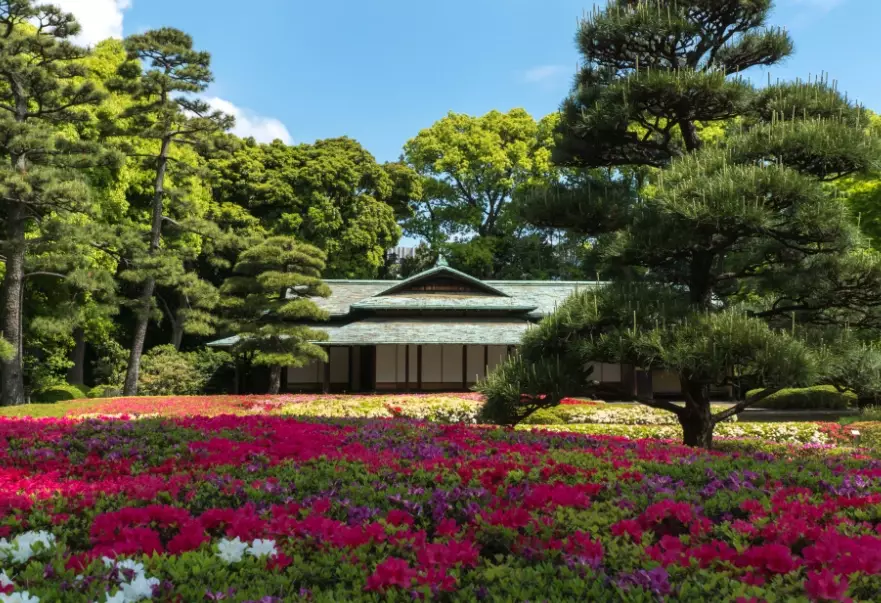 皇居東御苑 攻略