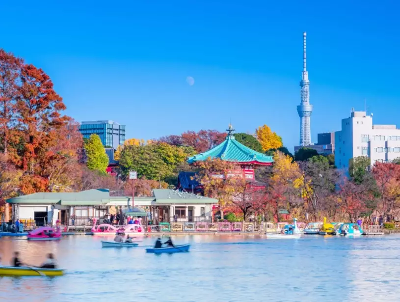 東京5天4夜行程