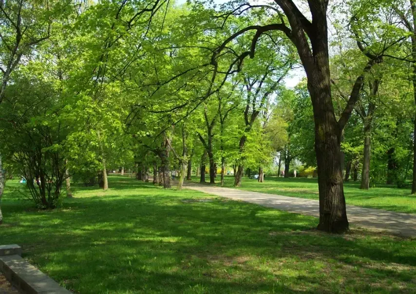 布拉格省錢旅遊