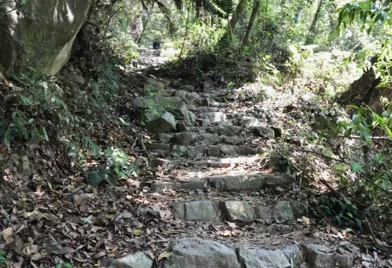 谷關七雄東卯山